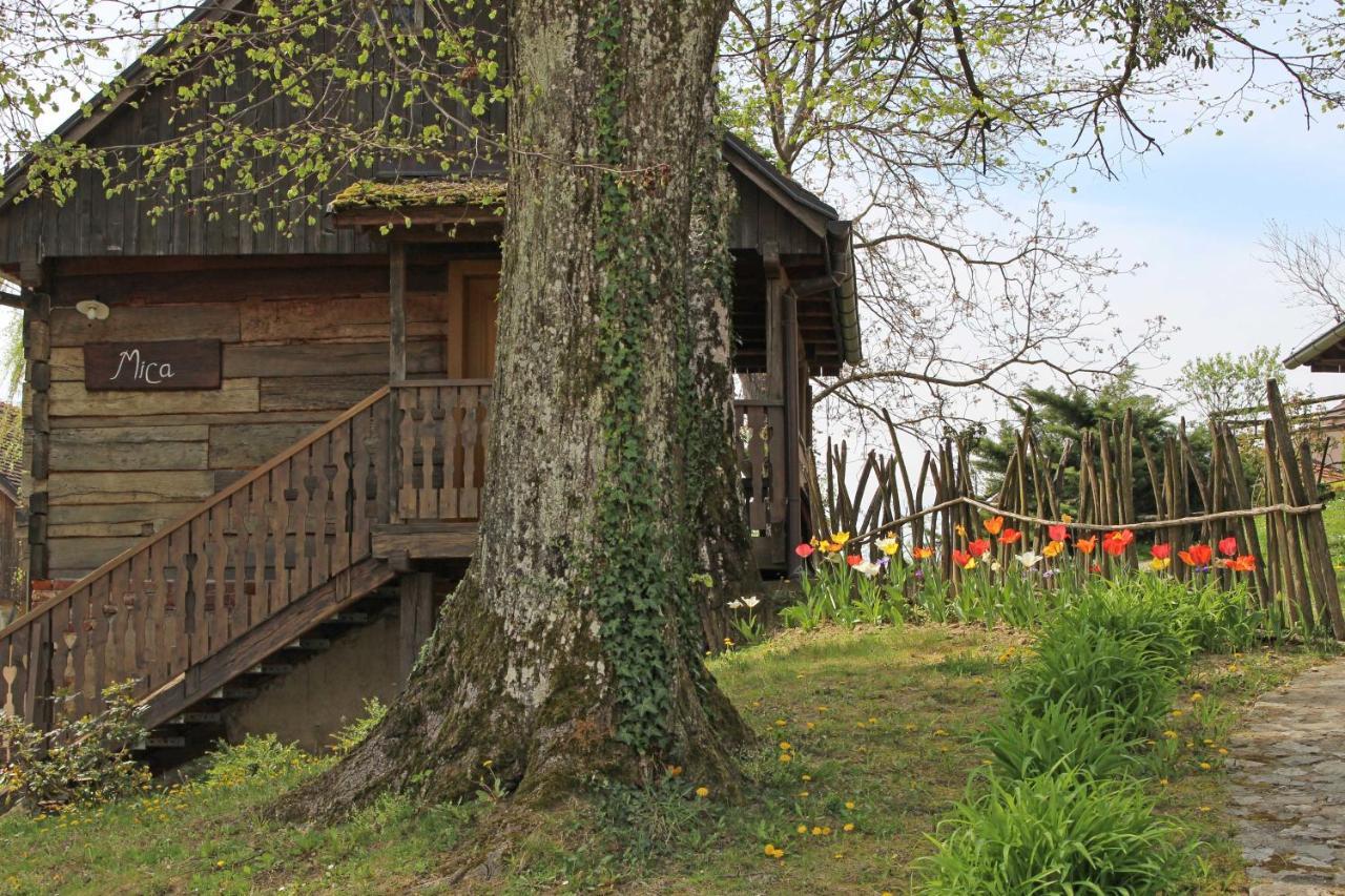Pension Vuglec Breg Krapina Exterior photo